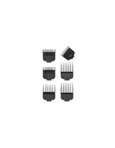 SET 5 PEINES MAGNETICOS STEINHART