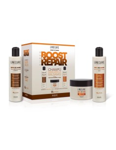 SUPER BOOST REPAIR